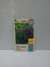 Sementes de Lavanda Verdadeira
