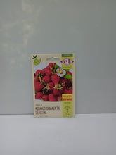Sementes de Morango Ornamental